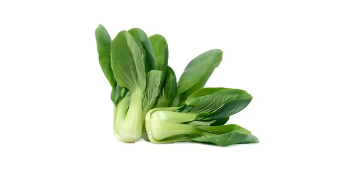 Pak-Choi “tesai” cabbage